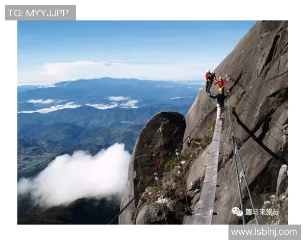 南京极限运动队战术变革引发热议探索极限运动的新趋势与挑战