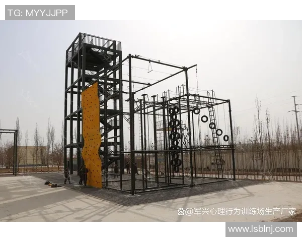 攀岩心理素质实力榜单权威发布揭示顶尖选手心理优势与挑战