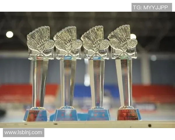 南京羽毛球队在大师赛中的个人能力分析与表现评估 南京羽毛球队在大师赛中的个人能力分析与表现评估